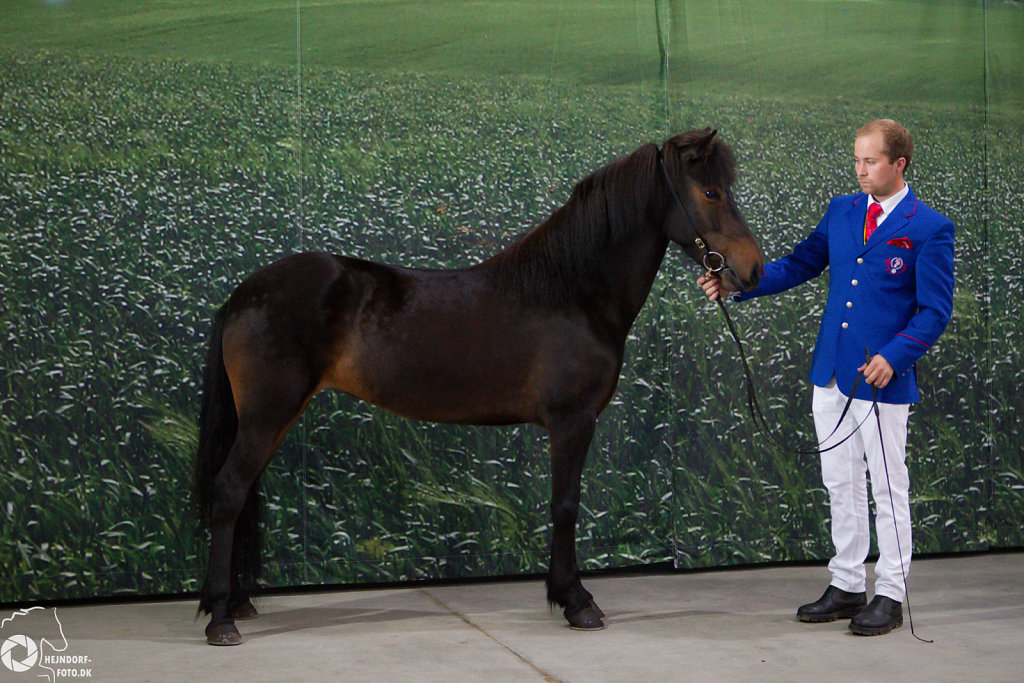Breeding Classes